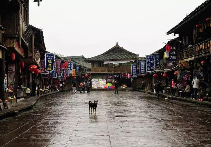 《卿卿日常》一共多少集?